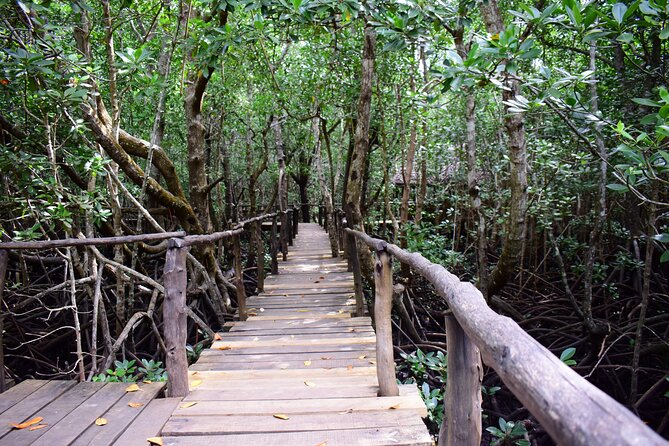 Jozani Forest Tour - Who will enjoy this Jozani Forest tour