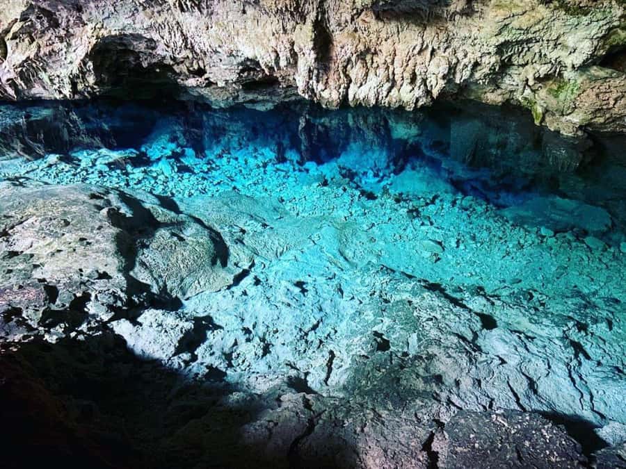 Jozani Forest Tour, Salaam Cave Tour, The Rock, Kuza Cave - What the $150 price really covers