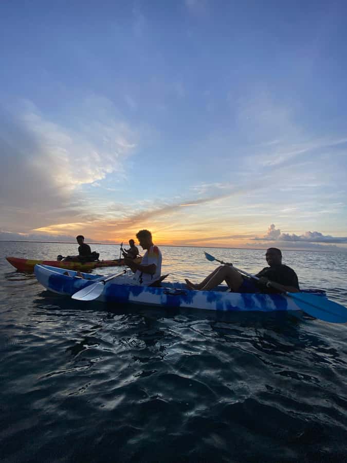 Kayak Mangrove Tour - Key points to know before you paddle