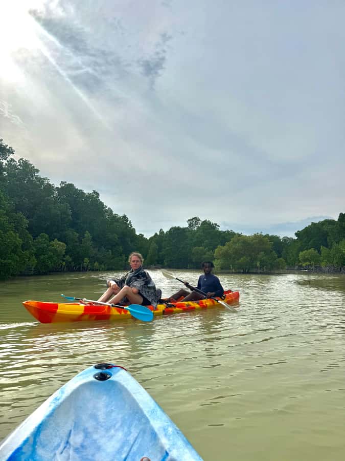 Kayak Mangrove Tour - Stable kayaks for beginners and couples