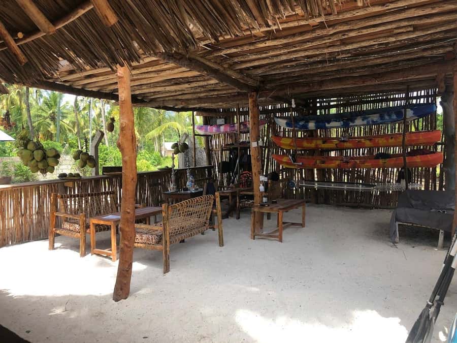 Kayak Mangrove Tour - The quietest part may be the best part