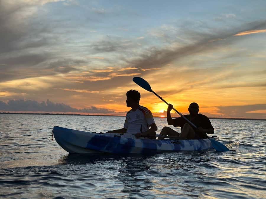 Kayak Mangrove Tour - Why the tide matters more than the clock