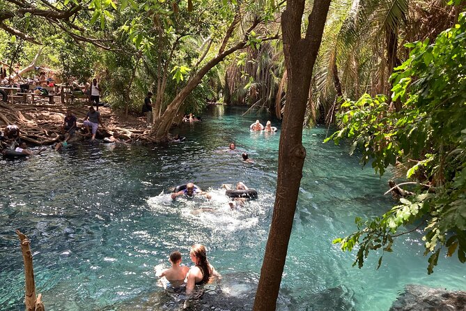 Kikuletwa Chemka Hot Springs Bicycle or Tuk Tuk Day Trip - Key points to know before you book