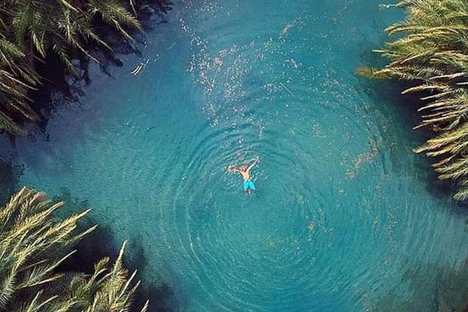 Kikuletwa (Chemka) Hot Springs Day Tour - Why Chemka is more about swimming than heat