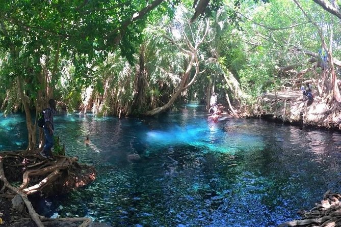 Kikuletwa Hot Spring Day Tour - Why the water is clear but not for drinking