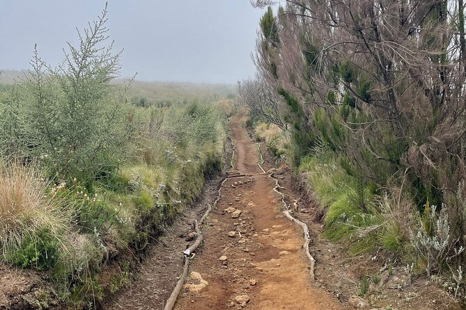 Kilimanjaro 1 Day Hike - Who will enjoy this short Kilimanjaro trek