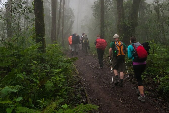 Kilimanjaro 1 Day Hike - Weather, timing, and cancellation flexibility