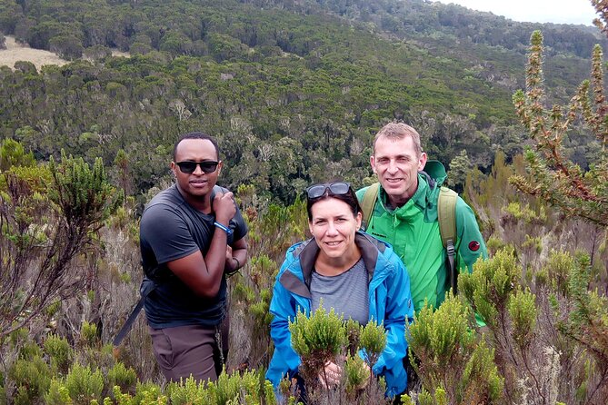 Kilimanjaro 1 Day Hike - From Moshi hotel to Marangu Route