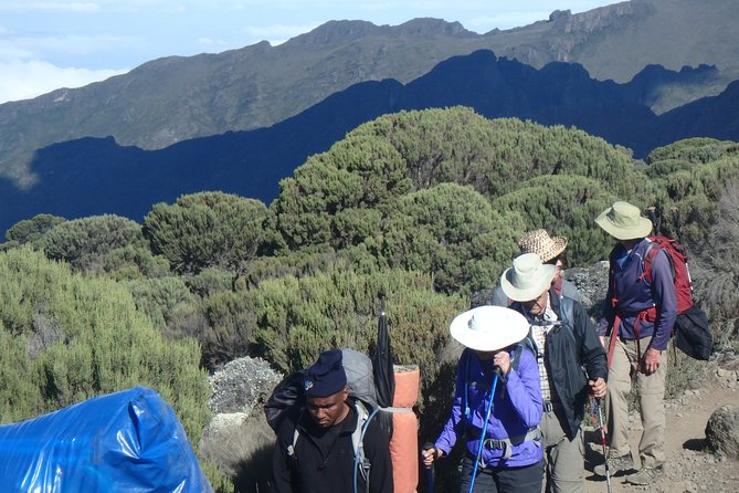 Kilimanjaro 2 days Hike - Day one: Moshi to Mandara Hut through the rainforest