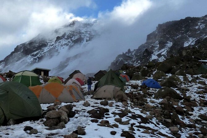 Kilimanjaro 7 Day Private Trekking Experience - Day four, the Barranco Wall scramble