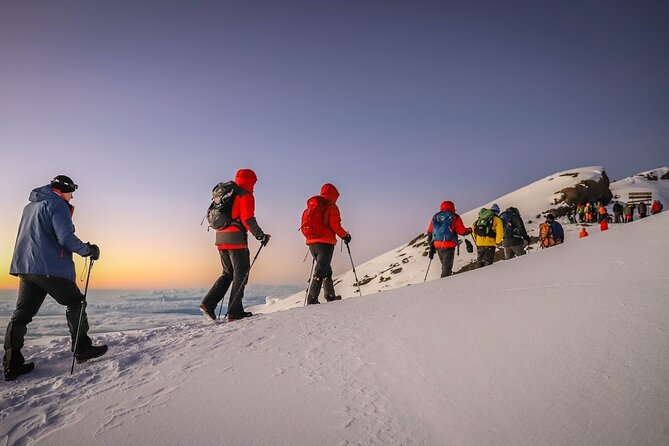 Kilimanjaro 7 Days Machame Route Private Tour - Day 3: Shira Camp and the change to moorland