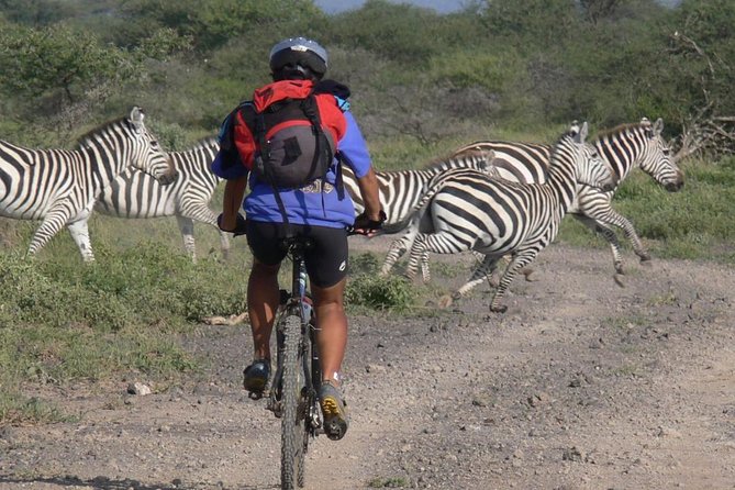 Kilimanjaro bike park safari - Key points to know before you ride