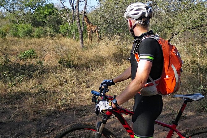 Kilimanjaro bike park safari - What the 7:00 am start means for your day