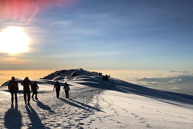 Kilimanjaro Climb - 7 Days Machame Route - Day 3: Shira Camp, Lava Tower, and Barranco Camp