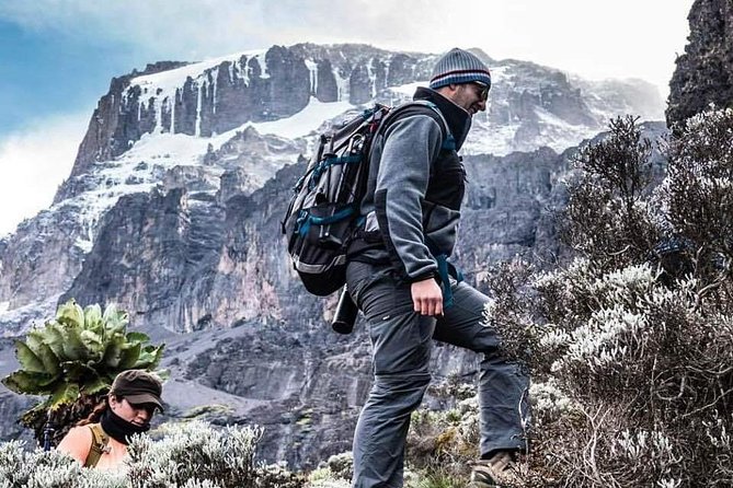 Kilimanjaro Climb - 7 Days Machame Route - Day 6: Barafu Camp to the summit and Mweka Camp