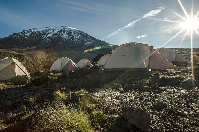 Kilimanjaro Climb - 7 Days Machame Route - Day 2: Machame Camp to Shira Camp
