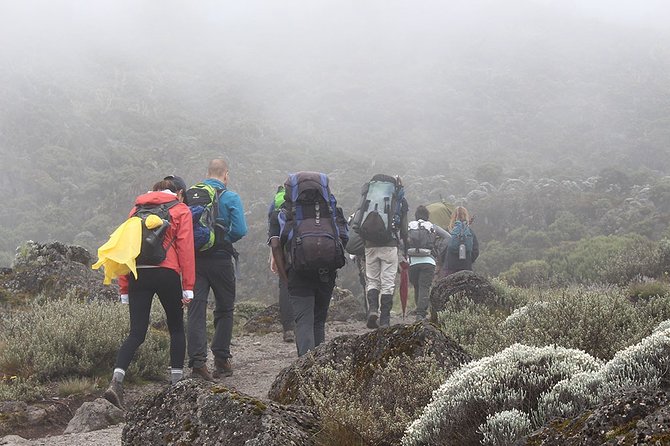 Kilimanjaro Climb- 8 Days Lemosho Route - Why eight days on the Lemosho Route matters