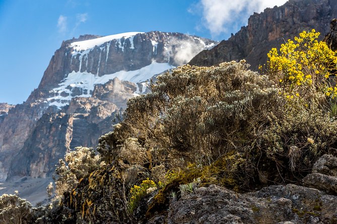 Kilimanjaro climb, Kilimanjaro Crater route (10-day) - Day 7: School Hut Summit Camp