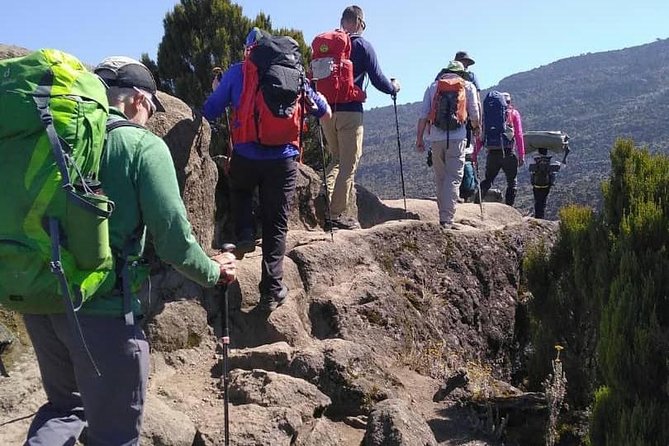 Kilimanjaro Climb- Lemosho Route - Your first day in Arusha, airport pickup, and the briefing