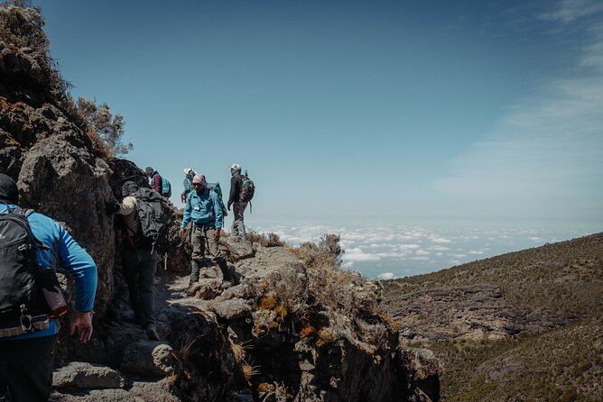 Kilimanjaro climb, Lemosho Route (6-day) - Day 3: Lava Tower and Barranco Camp