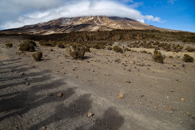 Kilimanjaro climb, Lemosho Route (6-day) - Day 4: Barranco Wall and Karanga Camp