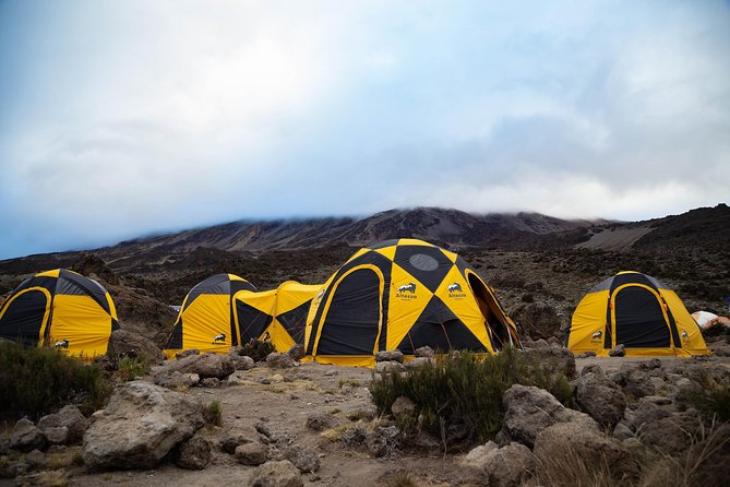 Kilimanjaro climb, Machame Route (7-day) - Day 2: Machame Gate to rainforest camp