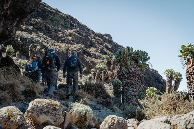 Kilimanjaro climb, Machame Route (7-day) - Day 5: Barranco Wall and Karanga Camp