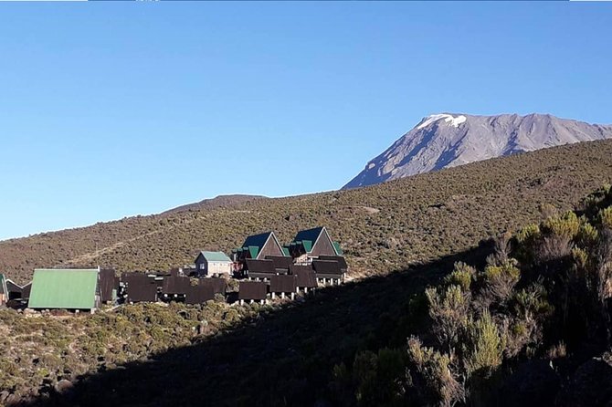 Kilimanjaro Climb Marangu Route 6 days - Day 4: Horombo Hut to Kibo Hut across the Saddle