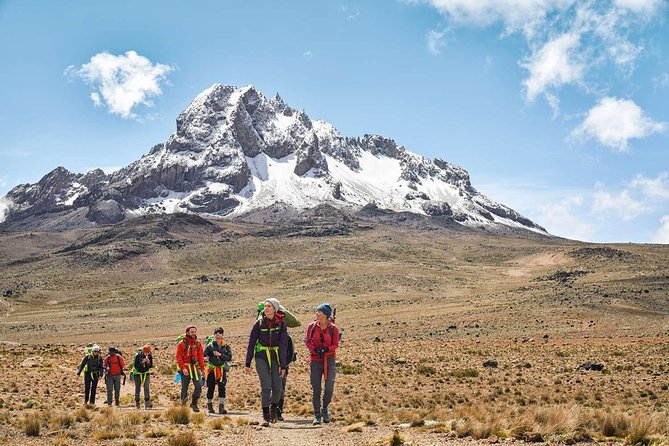 Kilimanjaro Climb Marangu Route 6 days - Day 5: Gillman’s Point, Uhuru Peak, and the long return