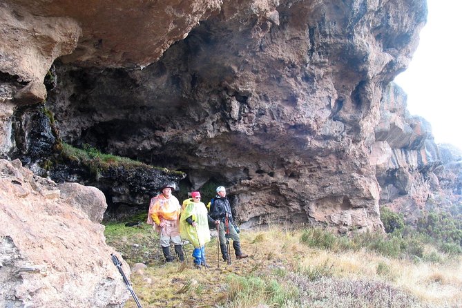Kilimanjaro Climb • Marangu Route ~ 9 Day - Day four: heath, moorland, and Horombo