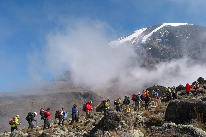 Kilimanjaro Climb • Marangu Route ~ 9 Day - Day six: across the Kibo Saddle to Kibo Hut
