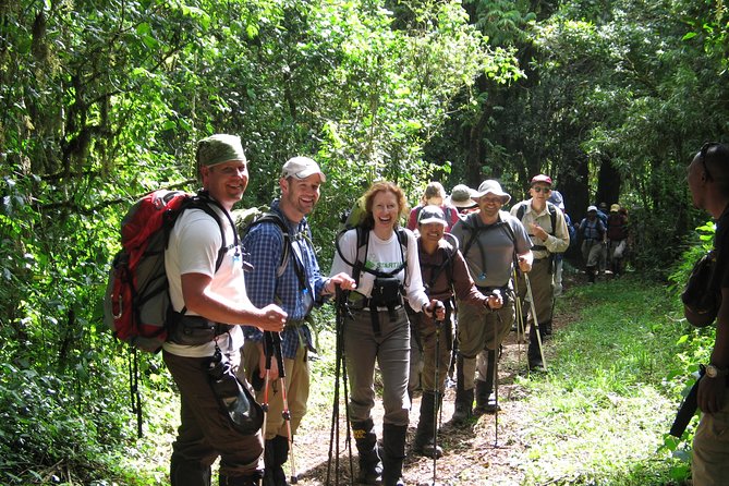 Kilimanjaro Climb • Marangu Route ~ 9 Day - Day eight: return through the forest to Moshi