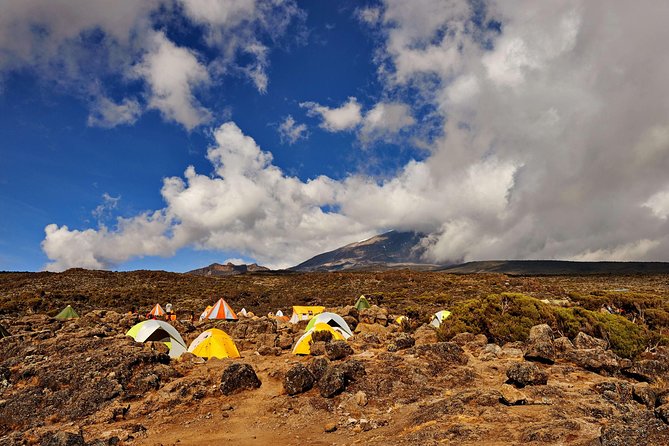 Kilimanjaro climb, Rongai Route (6-day) - Why the Rongai Route feels different