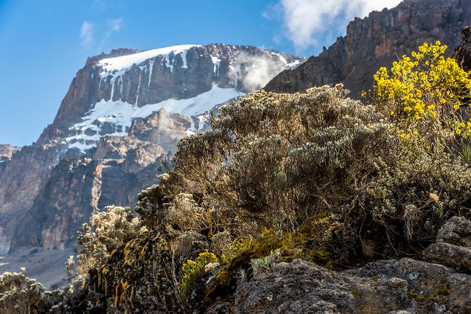 Kilimanjaro climb, Rongai Route (7-day) - Day 3: Second Cave and the first acclimatization walk