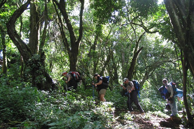 Kilimanjaro Climb & Safari - Lemosho Route - 13 Day - Barafu Camp and the final push