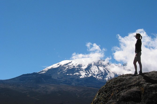 Kilimanjaro Climb & Safari - Lemosho Route - 13 Day - Food, tents, guides, and crew care