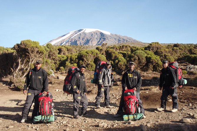 Kilimanjaro Climb & Safari - Lemosho Route - 13 Day - From rainforest to the Shira Plateau