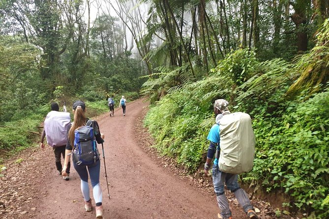 Kilimanjaro Climbing 5 days Marangu route - Food, water, and hut comfort