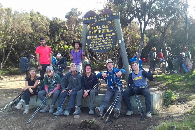 Kilimanjaro Climbing Rongai Route - Day 7: Forest descent, certificates, and Moshi