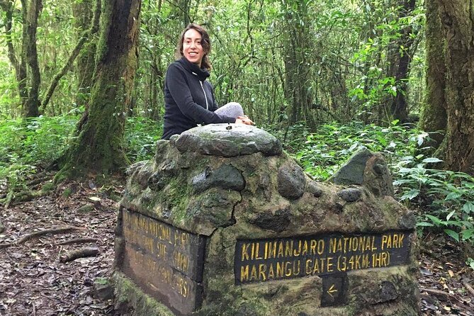 Kilimanjaro Day Hike - What this Kilimanjaro day hike really offers