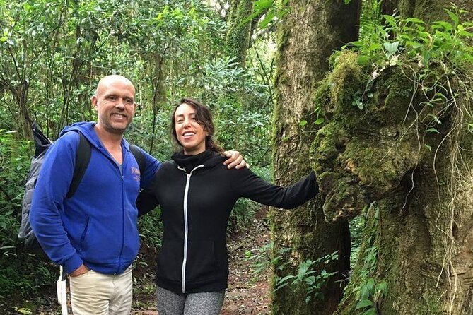 Kilimanjaro Day Hike - The return walk and the value of a private guide