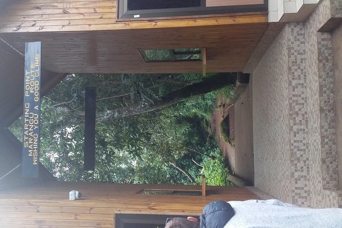 Kilimanjaro Day Hike - How demanding is the walk?