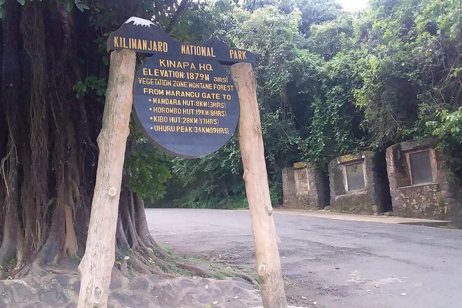 Kilimanjaro Day Hike - Who will enjoy this experience most?