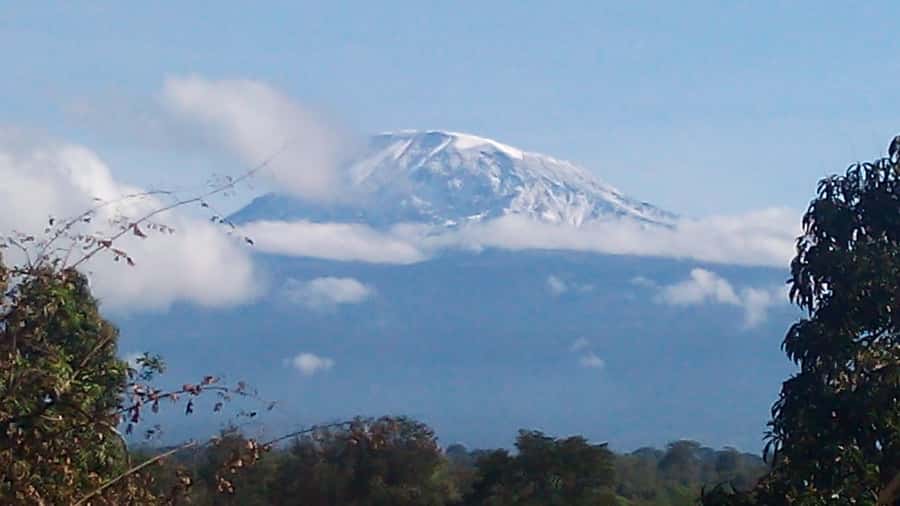 Kilimanjaro: Day trip -hike to Mandara Hut Kilimanjaro 2700m - Key points to know before you book