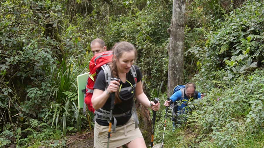 Kilimanjaro: Day trip -hike to Mandara Hut Kilimanjaro 2700m - From Moshi to Marangu Gate in 40 minutes