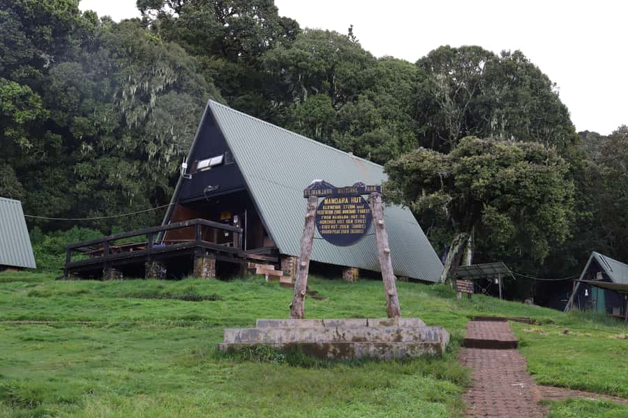 Kilimanjaro: Day trip -hike to Mandara Hut Kilimanjaro 2700m - Walking into Kilimanjaro’s montane forest