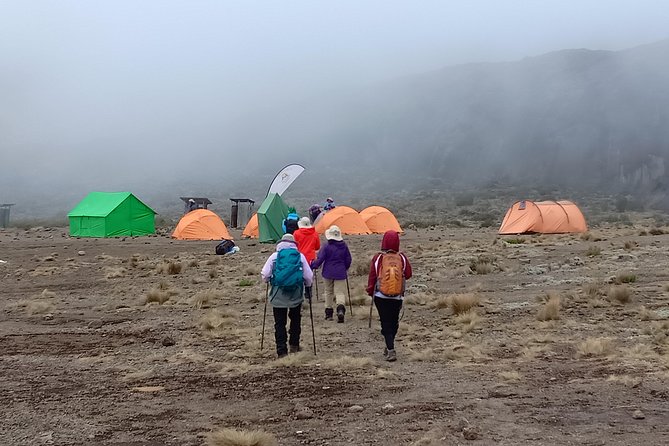 Kilimanjaro Experience 7 Days Lemosho route - Why Lemosho is a smart seven-day choice
