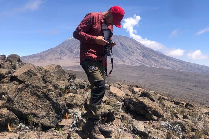 Kilimanjaro Lemosho Route - Why the Lemosho Route is worth eight days
