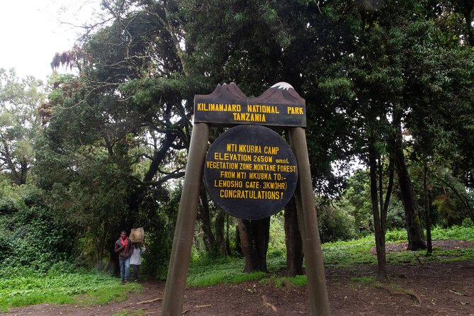 Kilimanjaro Lemosho Route 7 Days - Day 4: Lava Tower, lunch at altitude, and Barranco Valley