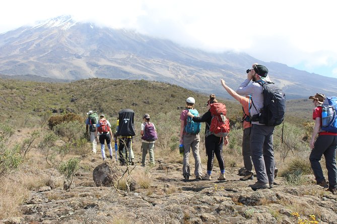 Kilimanjaro Lemosho Route 7 Days - Day 1: Londorossi Gate to Mti Mkubwa Camp